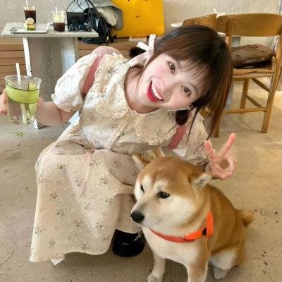 快乐的小鸡